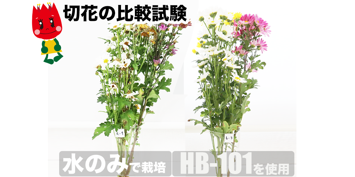 コンテンツ画像05
